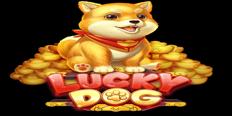 Discover the Secret World of the Lucky Dog Slot Game