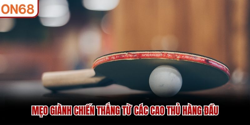 Mẹo gi&agrave;nh chiến thắng từ c&aacute;c cao thủ h&agrave;ng đầu